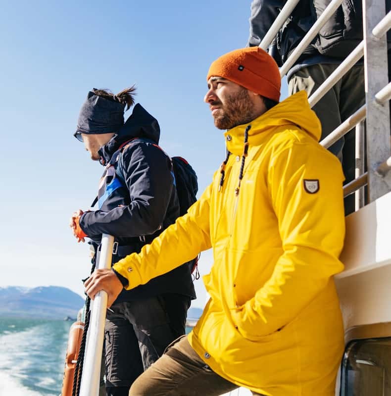 Akureyri: 3-Hour Classic Whale Watching Tour by Ship